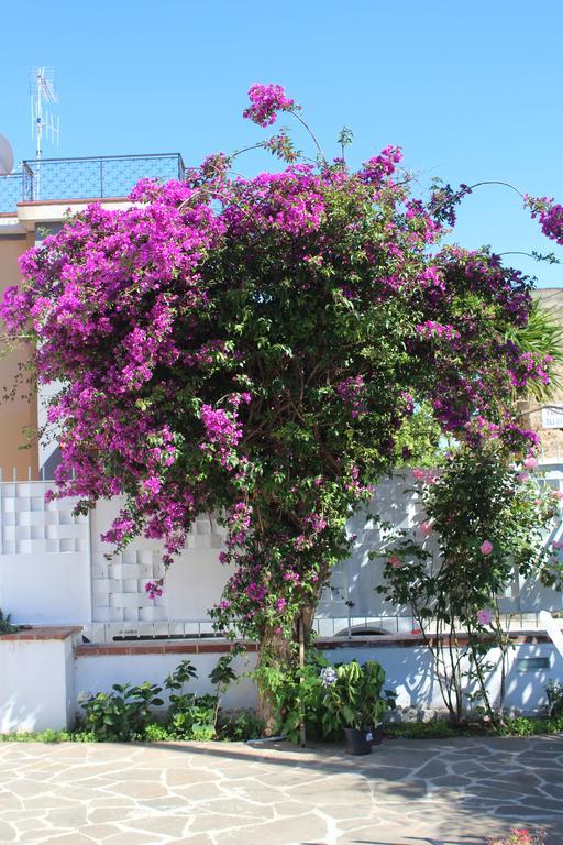 Casa Agrumeto - Locazione Turistica 蒙德罗 客房 照片