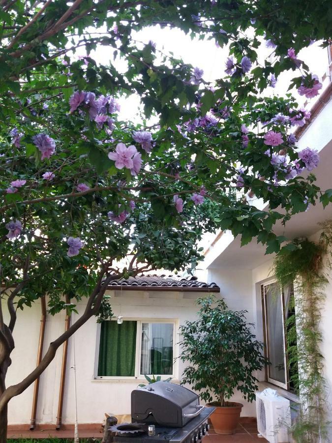 Casa Agrumeto - Locazione Turistica 蒙德罗 外观 照片